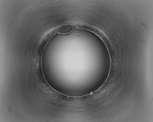 X0000115801016200911131354