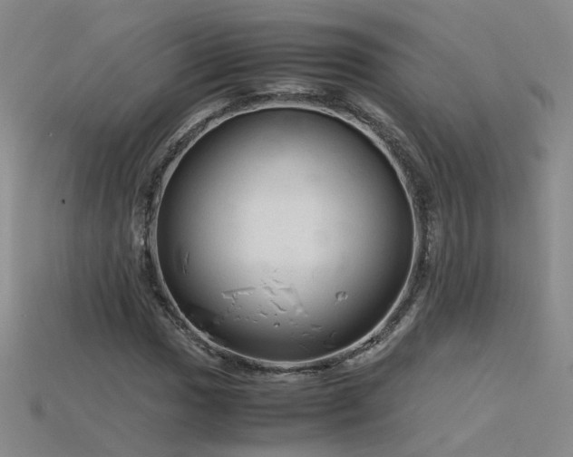 X0000115801017200911131354