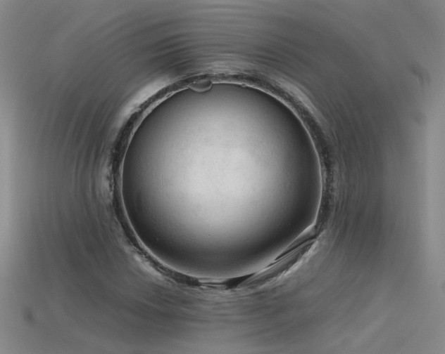 X0000115801018200911131354