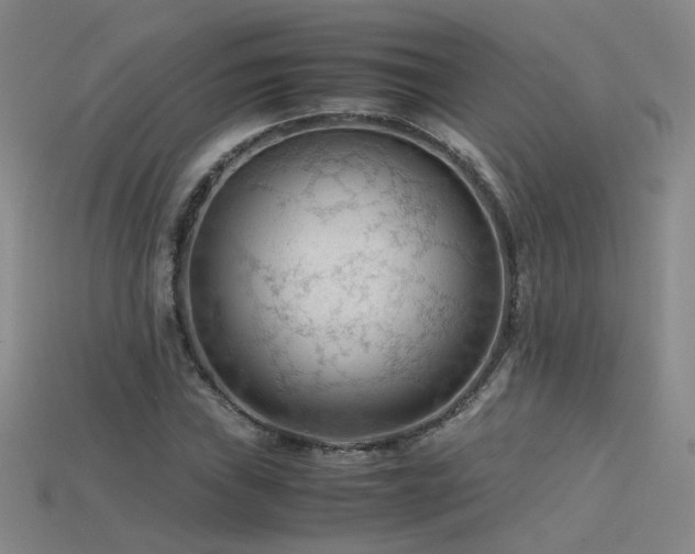 X0000115801019200911131354