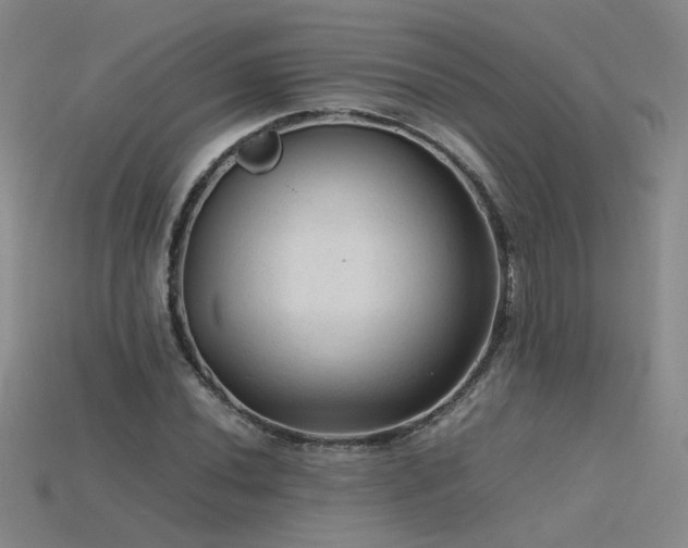 X0000115801020200911131354