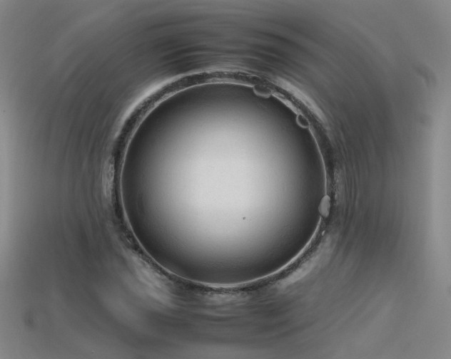 X0000115801021200911131354