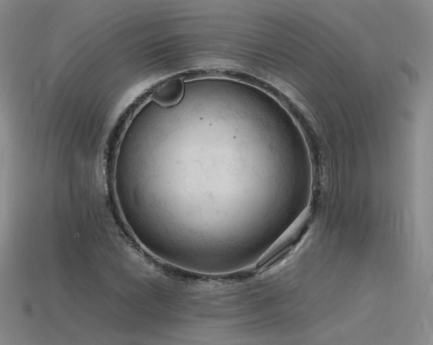 X0000115801022200911131354