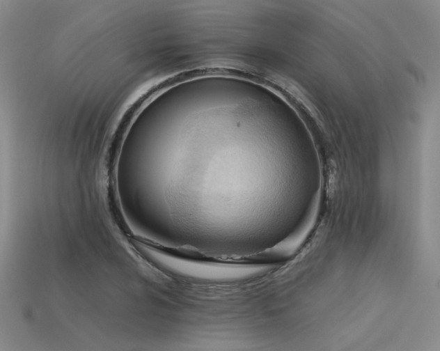 X0000115801024200911131354