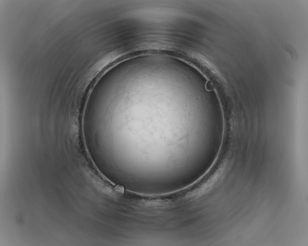 X0000115801025200911131354