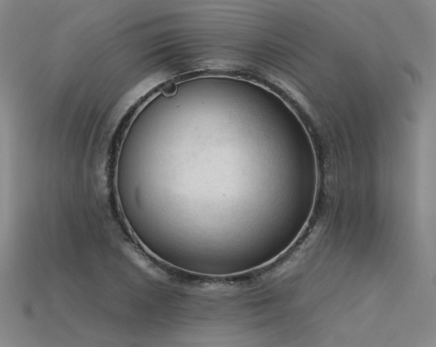X0000115801026200911131355