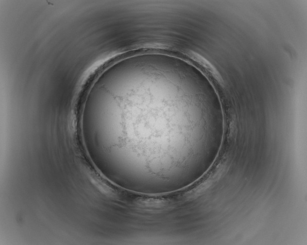 X0000115801027200911131355