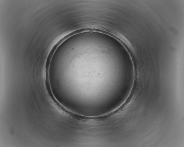 X0000115801028200911131355