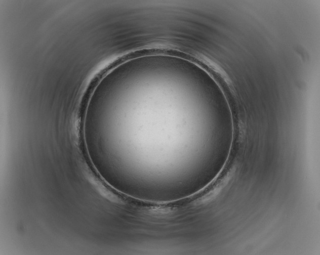 X0000115801029200911131355