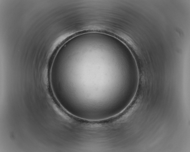 X0000115801030200911131355