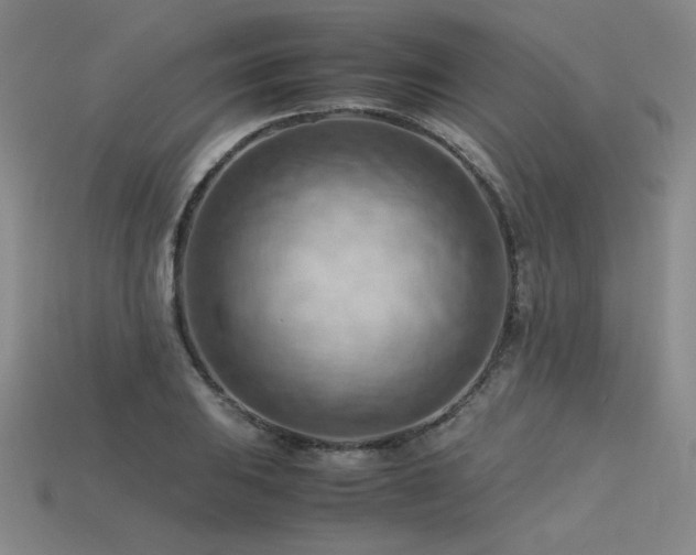 X0000115801031200911131355