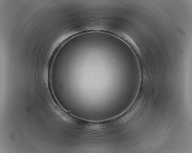 X0000115801035200911131355