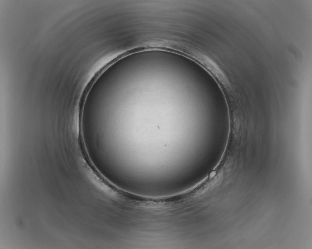 X0000115801036200911131355