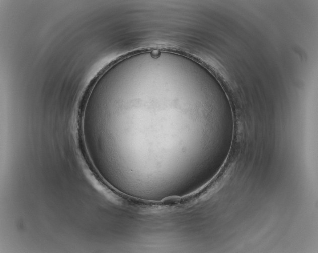 X0000115801038200911131355