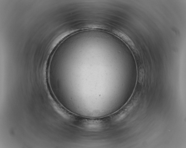 X0000115801039200911131355