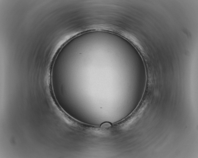 X0000115801040200911131355