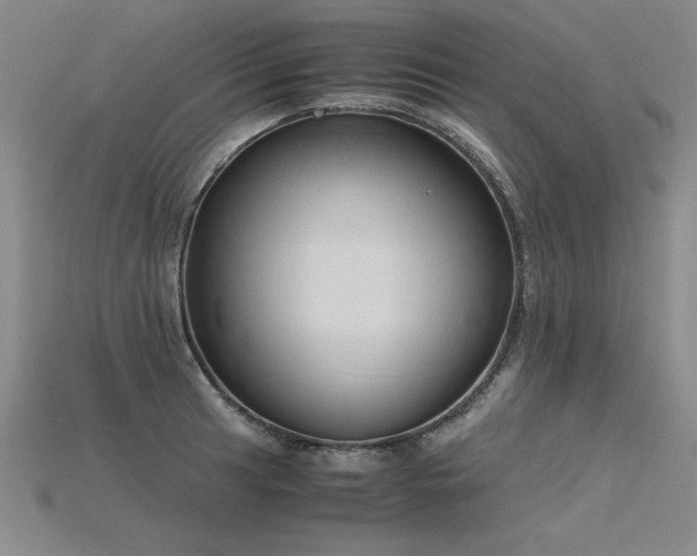X0000115801041200911131355