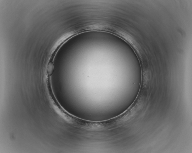X0000115801042200911131355