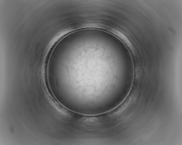 X0000115801043200911131355