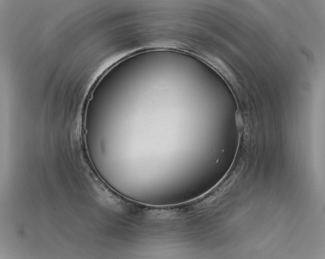 X0000115801044200911131355