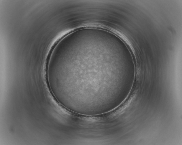 X0000115801045200911131355