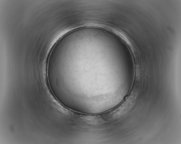 X0000115801048200911131355