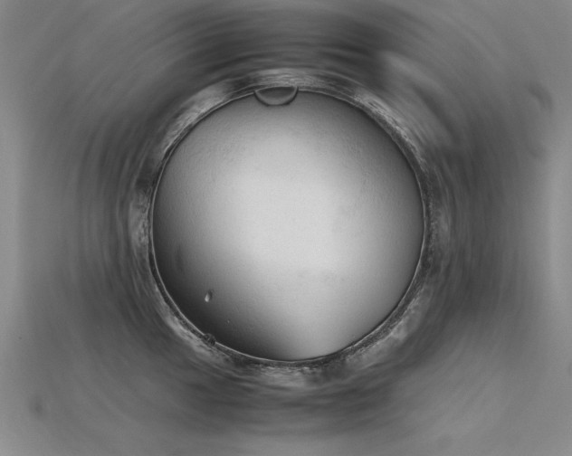 X0000115801049200911131355