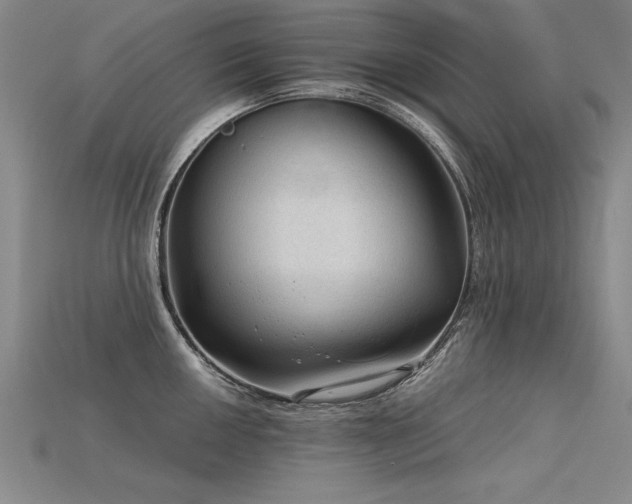 X0000115801050200911131355