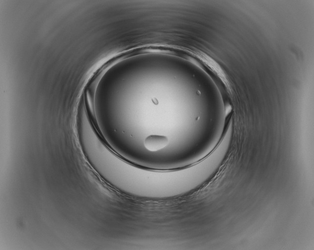 X0000115801051200911131355