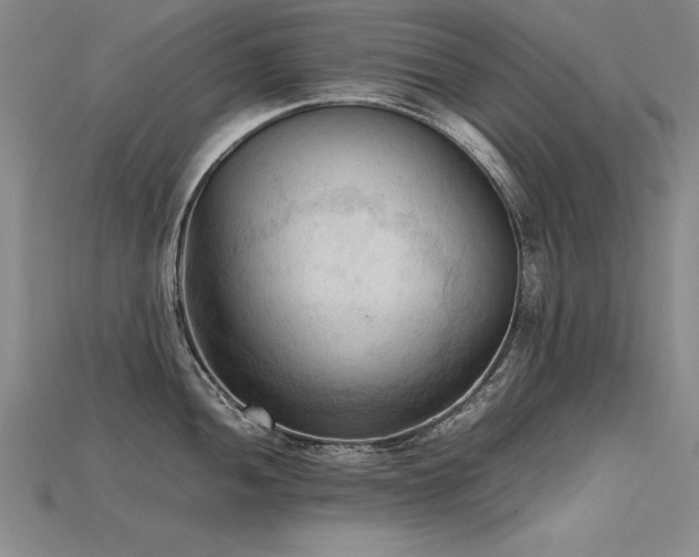 X0000115801052200911131355
