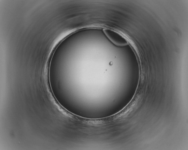X0000115801053200911131355