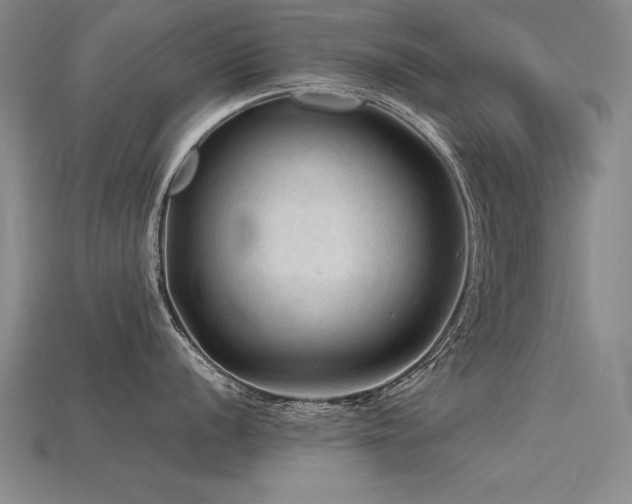 X0000115801056200911131355