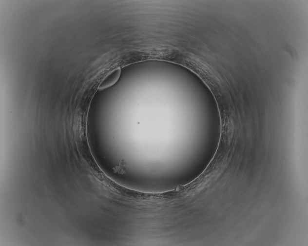 X0000115801058200911131354