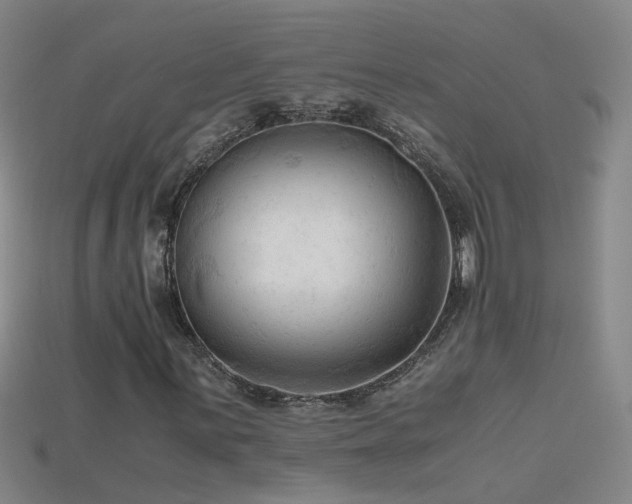 X0000115801059200911131354