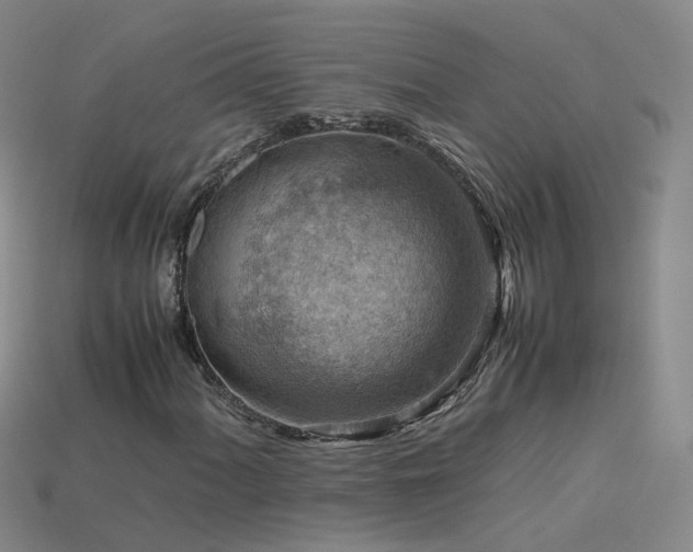 X0000115801060200911131354