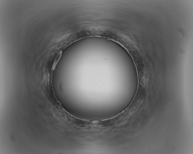 X0000115801061200911131354