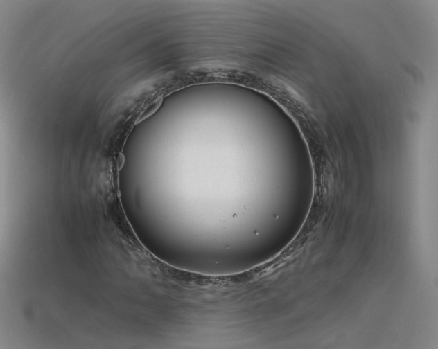 X0000115801062200911131354