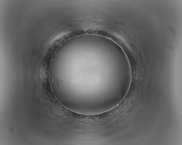 X0000115801063200911131354