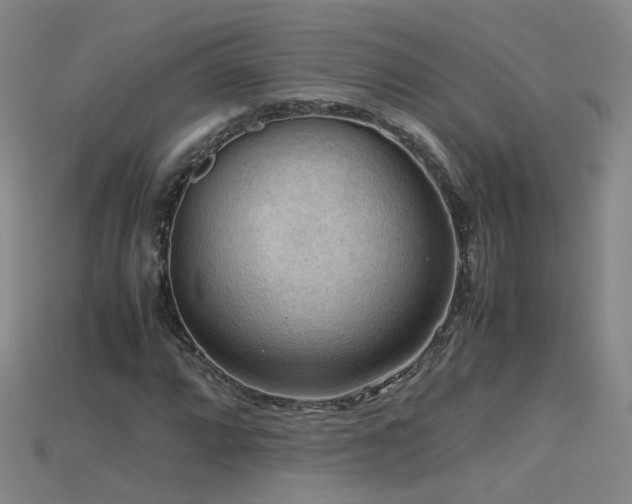 X0000115801064200911131354