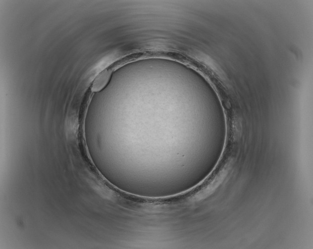 X0000115801065200911131354