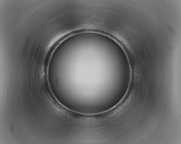 X0000115801070200911131354