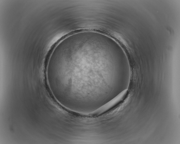X0000115801071200911131354