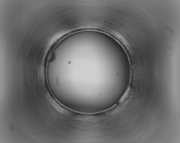 X0000115801072200911131354