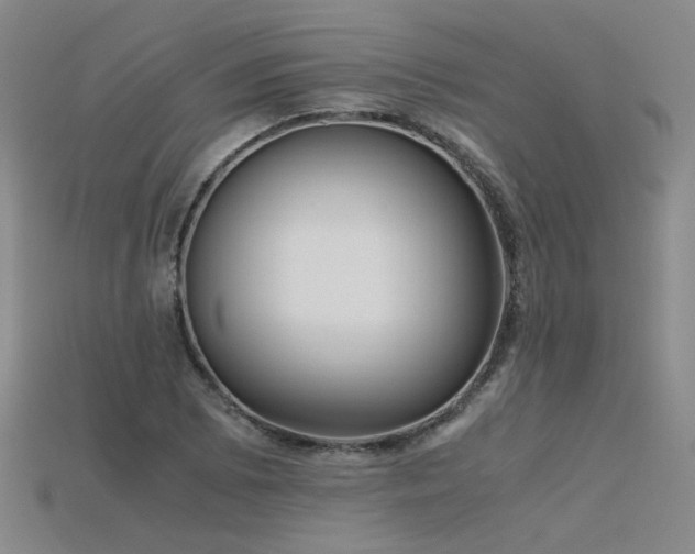 X0000115801073200911131354