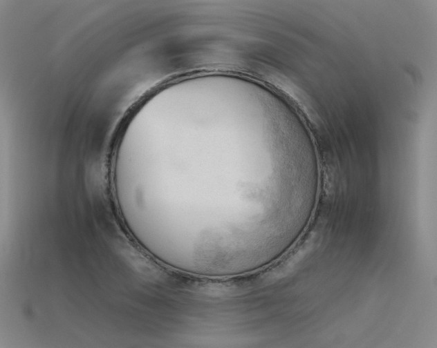 X0000115801074200911131354