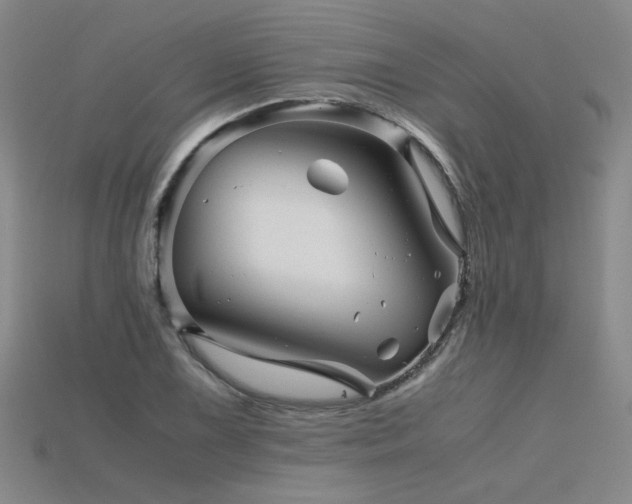 X0000115801075200911131354