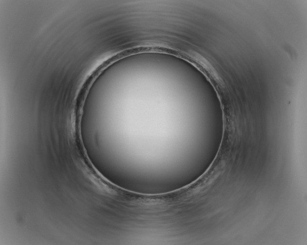 X0000115801076200911131354