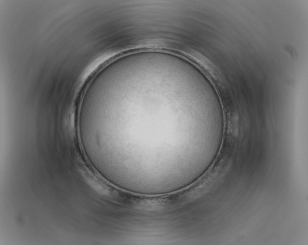 X0000115801078200911131354