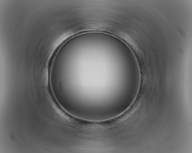 X0000115801079200911131354