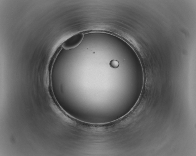X0000115801080200911131354